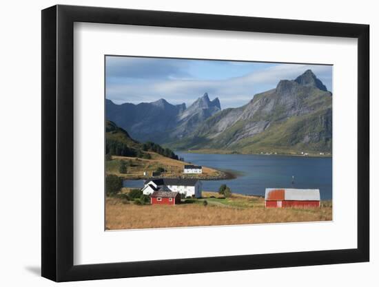 Farmhouses in the country, Lofoten Islands, Nordland, Norway, Scandinavia, Europe-Ethel Davies-Framed Photographic Print