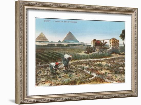 Farming by the Nile, Pyramids, Egypt-null-Framed Premium Giclee Print