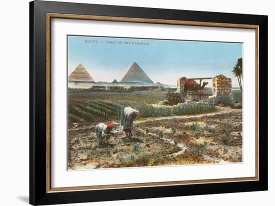 Farming by the Nile, Pyramids, Egypt-null-Framed Premium Giclee Print