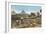 Farming by the Nile, Pyramids, Egypt-null-Framed Premium Giclee Print