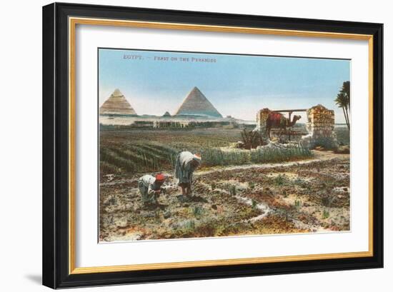 Farming by the Nile, Pyramids, Egypt-null-Framed Premium Giclee Print