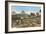 Farming by the Nile, Pyramids, Egypt-null-Framed Premium Giclee Print