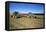 Farming Harvesting Potatoes-null-Framed Premier Image Canvas