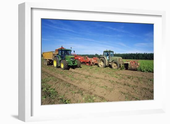 Farming Harvesting Potatoes-null-Framed Photographic Print