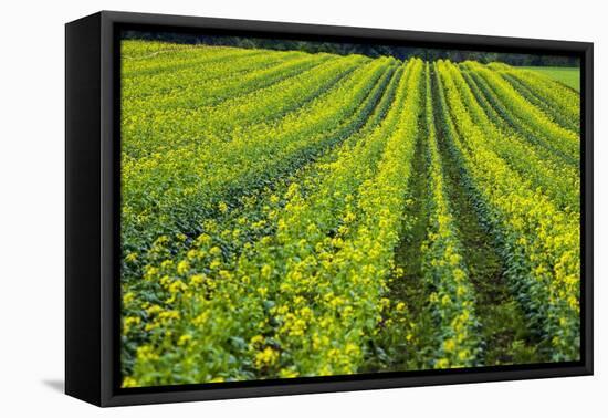 Farming in the Willamette Valley of Oregon-Terry Eggers-Framed Premier Image Canvas