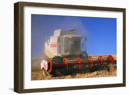 Farming Wheat Harvest and Combine Harvester-null-Framed Photographic Print