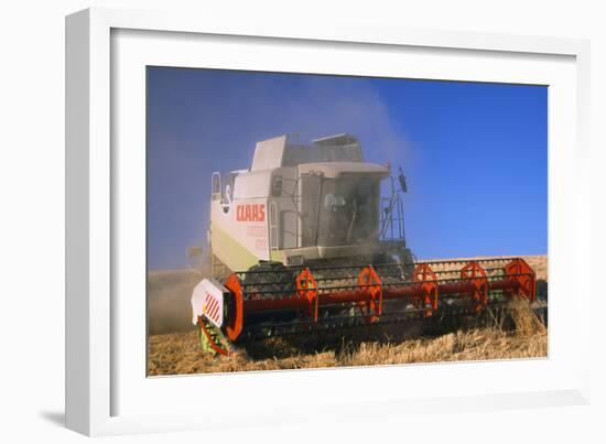 Farming Wheat Harvest and Combine Harvester-null-Framed Photographic Print