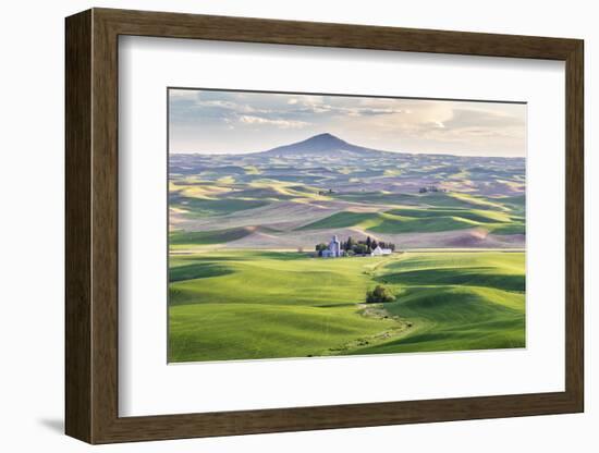 Farmington, Washington State, USA. Wheat farms in front of Steptoe Butte in the Palouse hills.-Emily Wilson-Framed Photographic Print