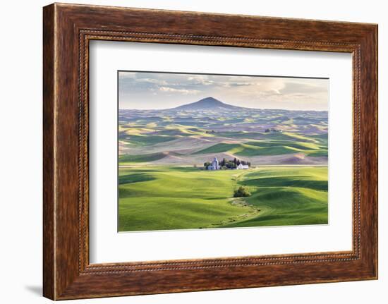 Farmington, Washington State, USA. Wheat farms in front of Steptoe Butte in the Palouse hills.-Emily Wilson-Framed Photographic Print