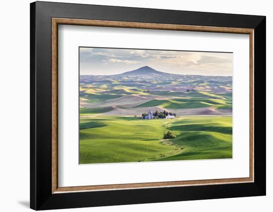 Farmington, Washington State, USA. Wheat farms in front of Steptoe Butte in the Palouse hills.-Emily Wilson-Framed Photographic Print