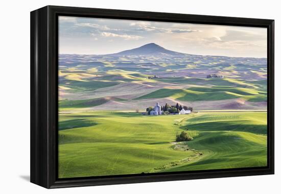 Farmington, Washington State, USA. Wheat farms in front of Steptoe Butte in the Palouse hills.-Emily Wilson-Framed Premier Image Canvas