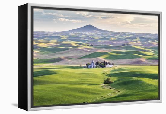 Farmington, Washington State, USA. Wheat farms in front of Steptoe Butte in the Palouse hills.-Emily Wilson-Framed Premier Image Canvas