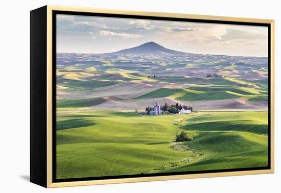 Farmington, Washington State, USA. Wheat farms in front of Steptoe Butte in the Palouse hills.-Emily Wilson-Framed Premier Image Canvas