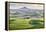 Farmington, Washington State, USA. Wheat farms in front of Steptoe Butte in the Palouse hills.-Emily Wilson-Framed Premier Image Canvas