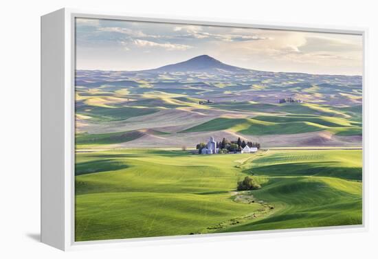 Farmington, Washington State, USA. Wheat farms in front of Steptoe Butte in the Palouse hills.-Emily Wilson-Framed Premier Image Canvas