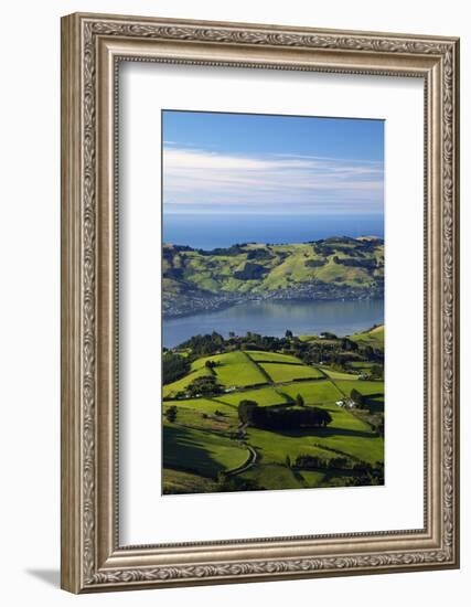 Farmland at Upper Junction, and Otago Harbor and Otago Peninsula, Dunedin, South Island, New Zealan-David Wall-Framed Photographic Print
