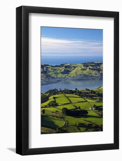 Farmland at Upper Junction, and Otago Harbor and Otago Peninsula, Dunedin, South Island, New Zealan-David Wall-Framed Photographic Print