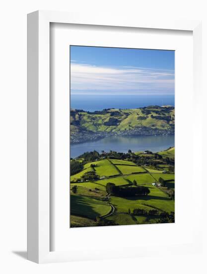 Farmland at Upper Junction, and Otago Harbor and Otago Peninsula, Dunedin, South Island, New Zealan-David Wall-Framed Photographic Print