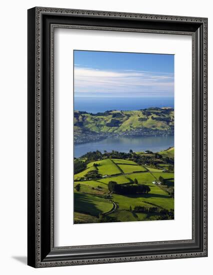 Farmland at Upper Junction, and Otago Harbor and Otago Peninsula, Dunedin, South Island, New Zealan-David Wall-Framed Photographic Print