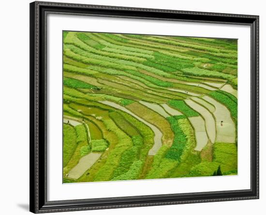 Farmland by the Three Gorges of the Yangtze River, China-Keren Su-Framed Photographic Print