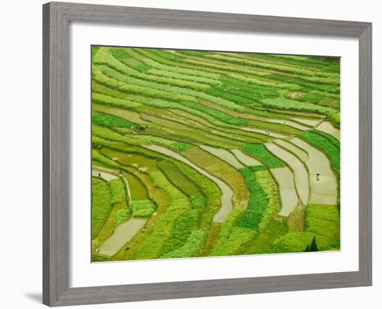 Farmland by the Three Gorges of the Yangtze River, China-Keren Su-Framed Photographic Print