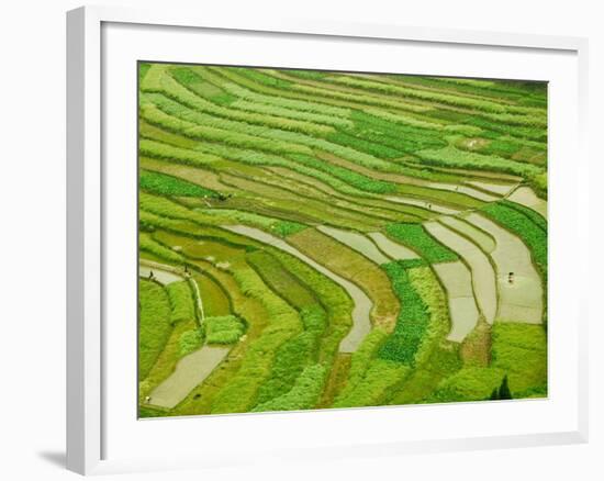 Farmland by the Three Gorges of the Yangtze River, China-Keren Su-Framed Photographic Print