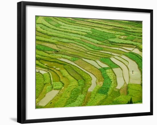 Farmland by the Three Gorges of the Yangtze River, China-Keren Su-Framed Photographic Print