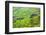 Farmland in Simien Mountain, Ethiopia-Keren Su-Framed Photographic Print