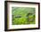 Farmland in Simien Mountain, Ethiopia-Keren Su-Framed Photographic Print