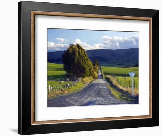 Farmland near Balclutha, South Otago, South Island, New Zealand-David Wall-Framed Photographic Print