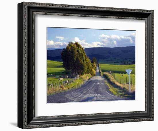 Farmland near Balclutha, South Otago, South Island, New Zealand-David Wall-Framed Photographic Print