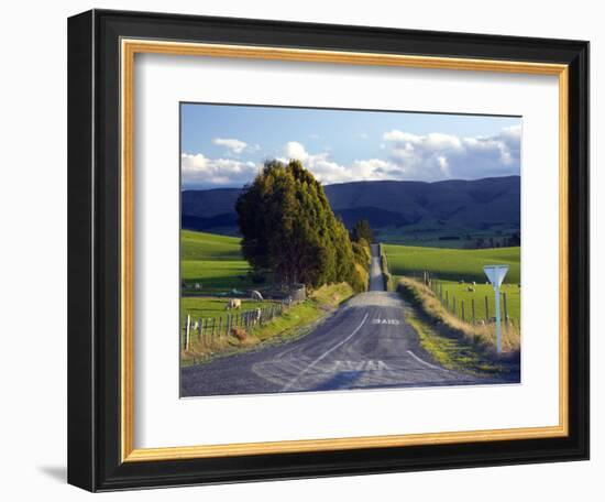 Farmland near Balclutha, South Otago, South Island, New Zealand-David Wall-Framed Photographic Print