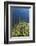 Farmland Near Tengger Semeru National Park, East Java, Indonesia-Keren Su-Framed Photographic Print