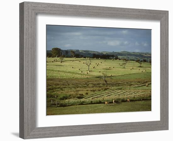 Farmland Near Willunga, Fleurieu Peninsula, South of Adelaide, South Australia, Australia, Pacific-Robert Francis-Framed Photographic Print