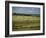 Farmland Near Willunga, Fleurieu Peninsula, South of Adelaide, South Australia, Australia, Pacific-Robert Francis-Framed Photographic Print