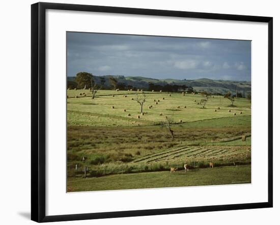 Farmland Near Willunga, Fleurieu Peninsula, South of Adelaide, South Australia, Australia, Pacific-Robert Francis-Framed Photographic Print