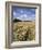 Farmland of Cornfield Ripening, England, United Kingdom, Europe-David Hughes-Framed Photographic Print