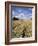 Farmland of Cornfield Ripening, England, United Kingdom, Europe-David Hughes-Framed Photographic Print