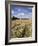 Farmland of Cornfield Ripening, England, United Kingdom, Europe-David Hughes-Framed Photographic Print