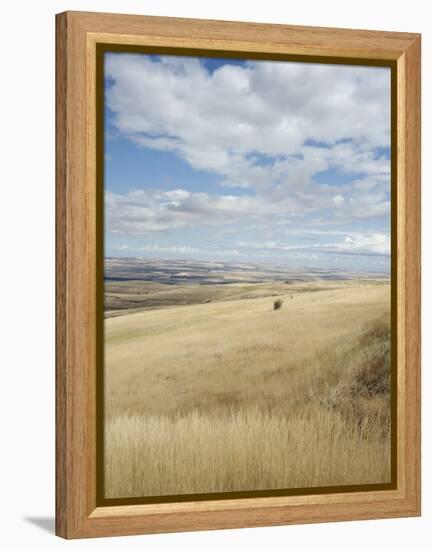 Farmland Off Highway 84, Near Pendleton, Oregon, United States of America, North America-Aaron McCoy-Framed Premier Image Canvas