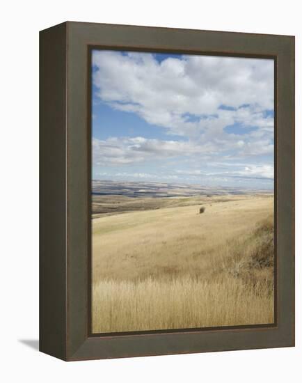 Farmland Off Highway 84, Near Pendleton, Oregon, United States of America, North America-Aaron McCoy-Framed Premier Image Canvas