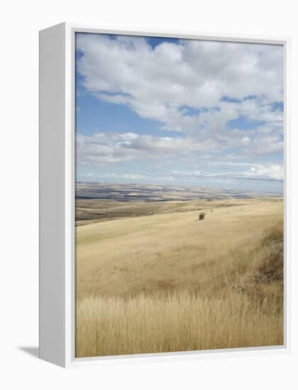 Farmland Off Highway 84, Near Pendleton, Oregon, United States of America, North America-Aaron McCoy-Framed Premier Image Canvas