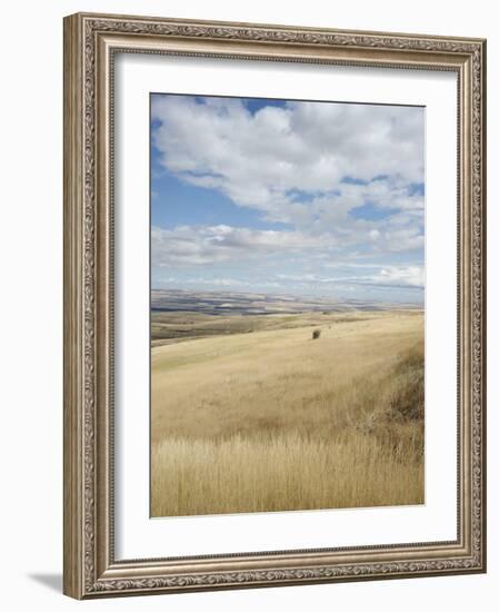 Farmland Off Highway 84, Near Pendleton, Oregon, United States of America, North America-Aaron McCoy-Framed Photographic Print