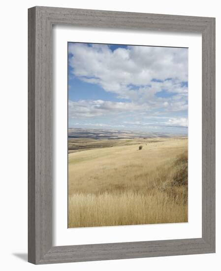 Farmland Off Highway 84, Near Pendleton, Oregon, United States of America, North America-Aaron McCoy-Framed Photographic Print