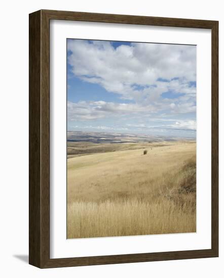 Farmland Off Highway 84, Near Pendleton, Oregon, United States of America, North America-Aaron McCoy-Framed Photographic Print