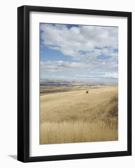 Farmland Off Highway 84, Near Pendleton, Oregon, United States of America, North America-Aaron McCoy-Framed Photographic Print