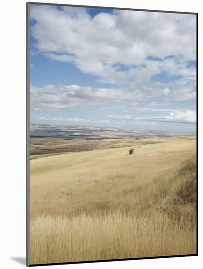 Farmland Off Highway 84, Near Pendleton, Oregon, United States of America, North America-Aaron McCoy-Mounted Photographic Print