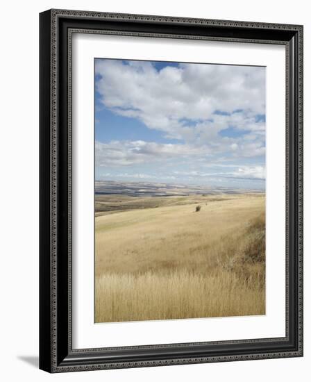 Farmland Off Highway 84, Near Pendleton, Oregon, United States of America, North America-Aaron McCoy-Framed Photographic Print