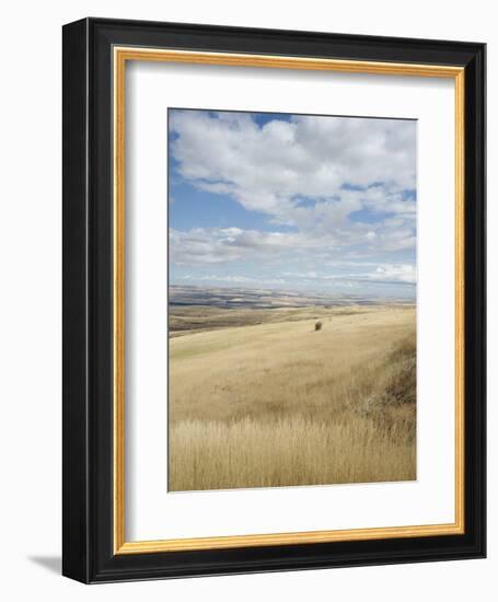 Farmland Off Highway 84, Near Pendleton, Oregon, United States of America, North America-Aaron McCoy-Framed Photographic Print