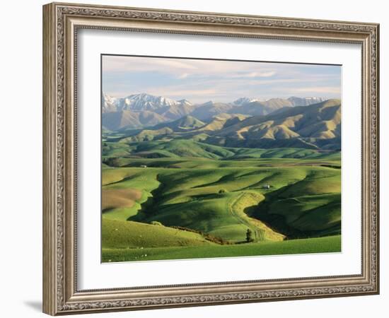 Farmland S Canterbury New Zealand-null-Framed Photographic Print